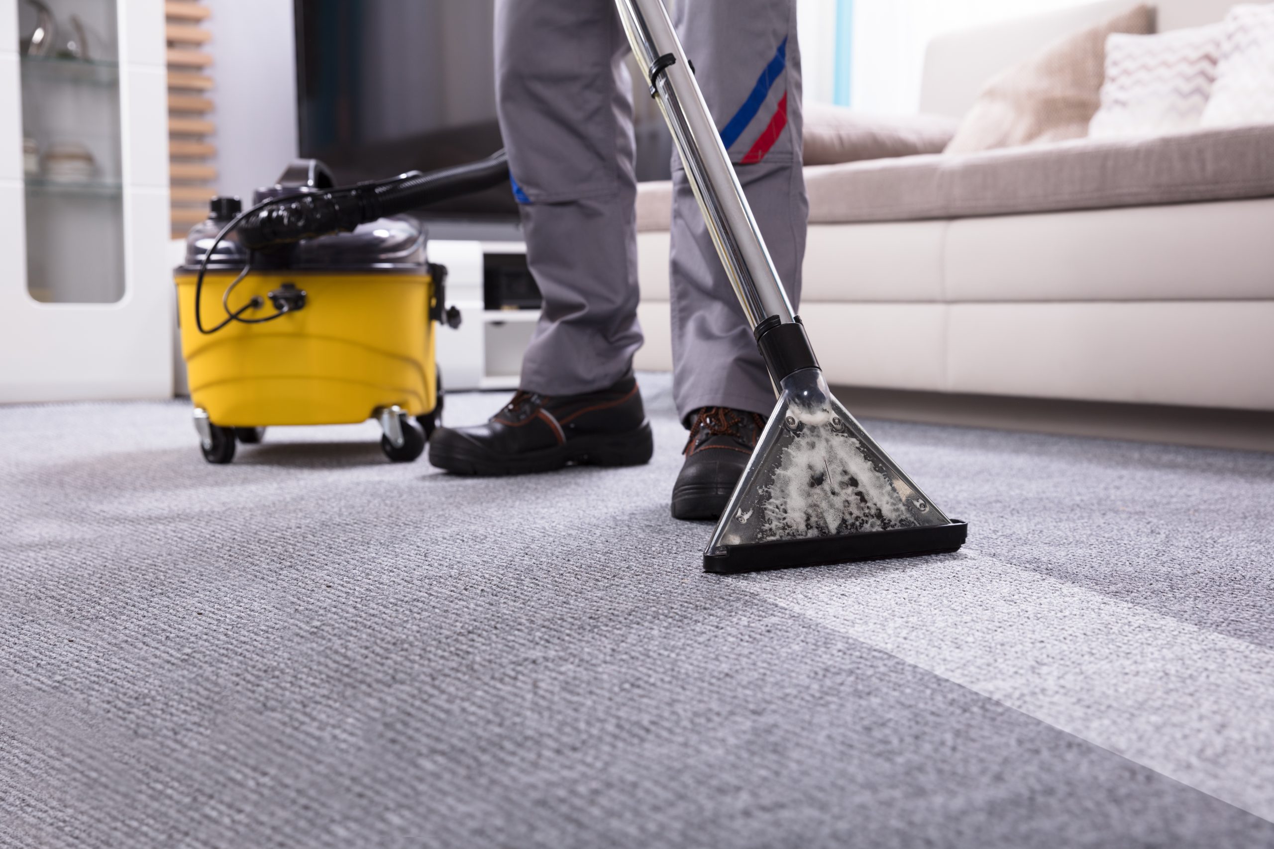 You are currently viewing The Hidden Dangers of Ignoring Carpet Stain Cleaning